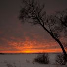 Frame