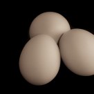 Three Eggs
