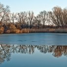 Reflection
