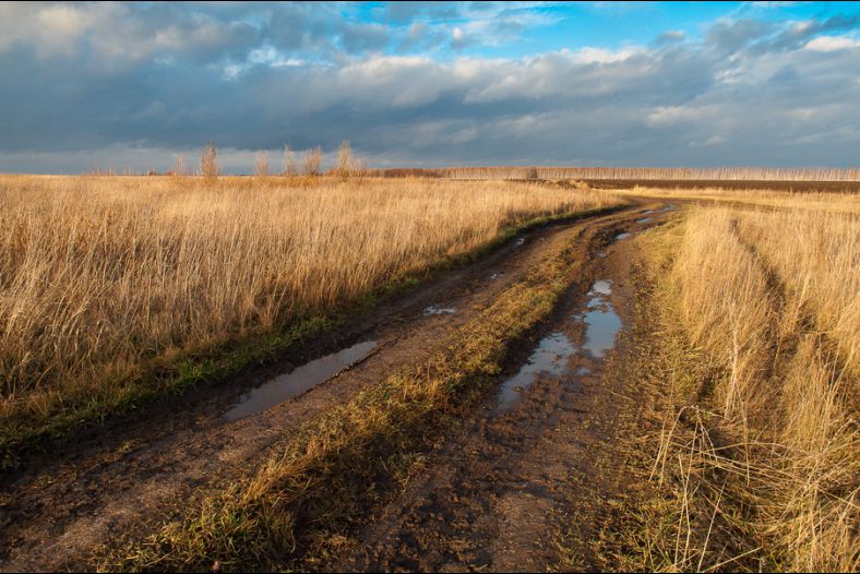 Autumn road  in the Russian countryside