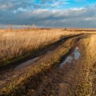 Autumn road  in the Russian countryside
