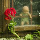 Forgotten