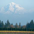 Mt. Hood Afloat