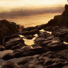 Pools Along The Shore