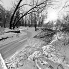 Cowmire Creek