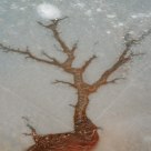 Tree In Ice