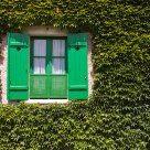 Green world