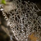 Water Curtain