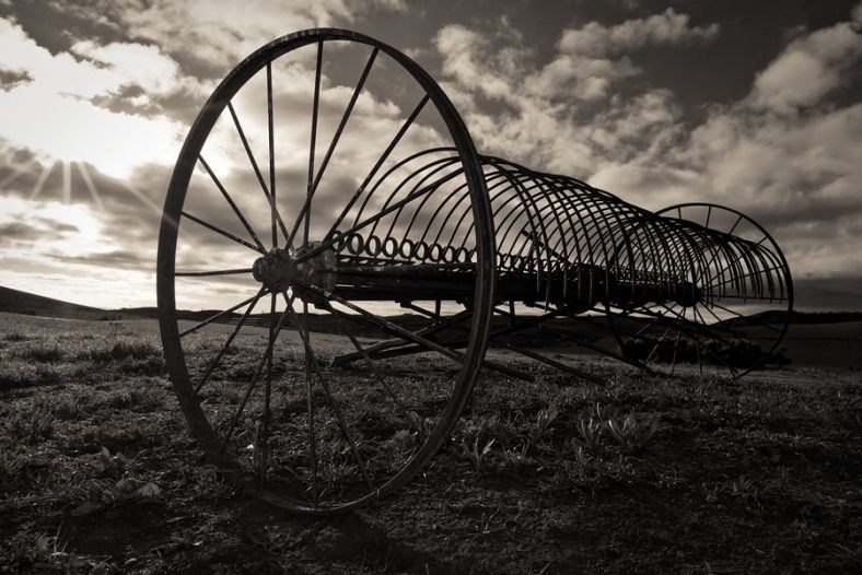 Hay Rake