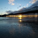 Palace Pier