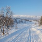 Tracks
