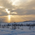 Divine Light