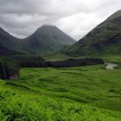 Wet Scotland