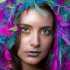Colors