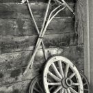 In the old farm