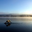 River in morning