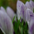 Reaching Up