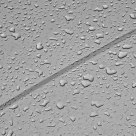 Raindrops