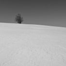 Solitude