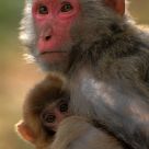 Mother and son