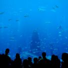 Aquarium
