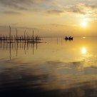 Reflejos metÃ¡licos