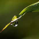 Macro