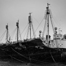 Reykjavik Harbour in the Blizzard