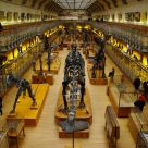museo de historia natural de paris