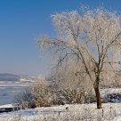 Emotional Winter Day