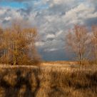 Autumn motives of Russian heartland