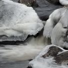 Winter Beauty