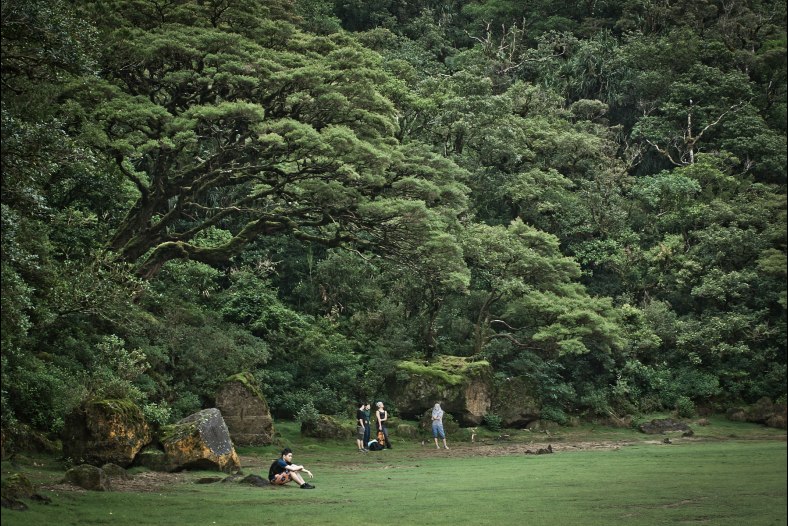 Strangers on a Strange Land