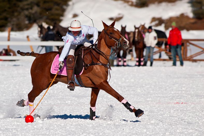 Cortina Winter Polo Gold Cup 2011...