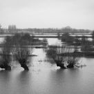 River Rhine - high water