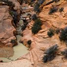 Red Rock