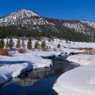 A Creek in the wintry forest