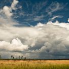 Violence of elements in expectation of a downpour