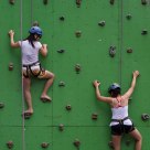 The Green Wall