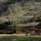 Small country store 1