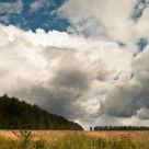 Storm clouds curl...