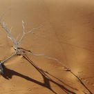 sand traces