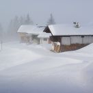 foreign winter