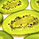 Kiwi Land