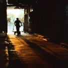 Fruit Market worker during sunset