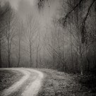 Path