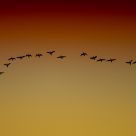 A Bow in the Sky..