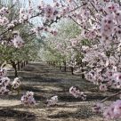 The spring has come