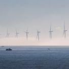 Windfarm Fog