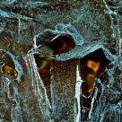 spring ice...2